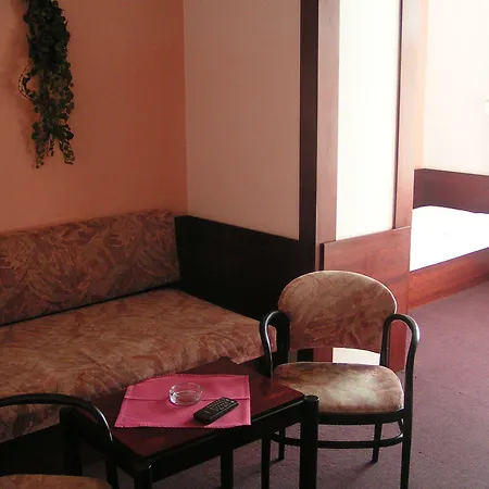 酒店 亚瑞比克酒店 3*